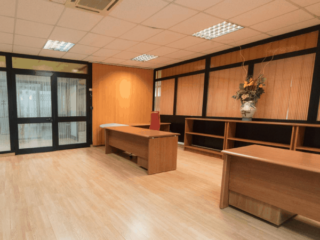 flegreo-1-600×462-1